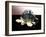 Turtle Robot-Victor De Schwanberg-Framed Photographic Print