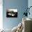 Turtle Robot-Victor De Schwanberg-Photographic Print displayed on a wall
