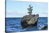 Turtle Rock, Lake Baikal-demerzel21-Stretched Canvas