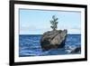 Turtle Rock, Lake Baikal-demerzel21-Framed Photographic Print