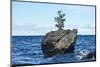 Turtle Rock, Lake Baikal-demerzel21-Mounted Photographic Print