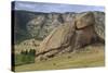 Turtle Rock, Terelj National Park, Central Mongolia-Eleanor Scriven-Stretched Canvas