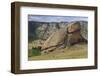 Turtle Rock, Terelj National Park, Central Mongolia-Eleanor Scriven-Framed Photographic Print