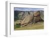 Turtle Rock, Terelj National Park, Central Mongolia-Eleanor Scriven-Framed Photographic Print