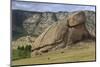 Turtle Rock, Terelj National Park, Central Mongolia-Eleanor Scriven-Mounted Photographic Print