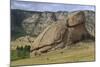 Turtle Rock, Terelj National Park, Central Mongolia-Eleanor Scriven-Mounted Photographic Print