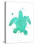 Turtle Splat-Jace Grey-Stretched Canvas