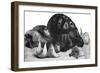 Turtle, Swallow's Nests and Oxtail-null-Framed Art Print