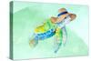 Turtle With Hat on Watercolor (blue)-Lanie Loreth-Stretched Canvas