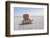 Turtle with Suitcase.-Anton_Sokolov-Framed Photographic Print