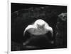 Turtle Without Shell-Henry Horenstein-Framed Photographic Print