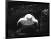 Turtle Without Shell-Henry Horenstein-Framed Photographic Print