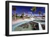 Turtle Yearlings In Pool Cayman Turtle Farm-George Oze-Framed Photographic Print