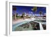 Turtle Yearlings In Pool Cayman Turtle Farm-George Oze-Framed Photographic Print