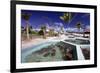 Turtle Yearlings In Pool Cayman Turtle Farm-George Oze-Framed Photographic Print