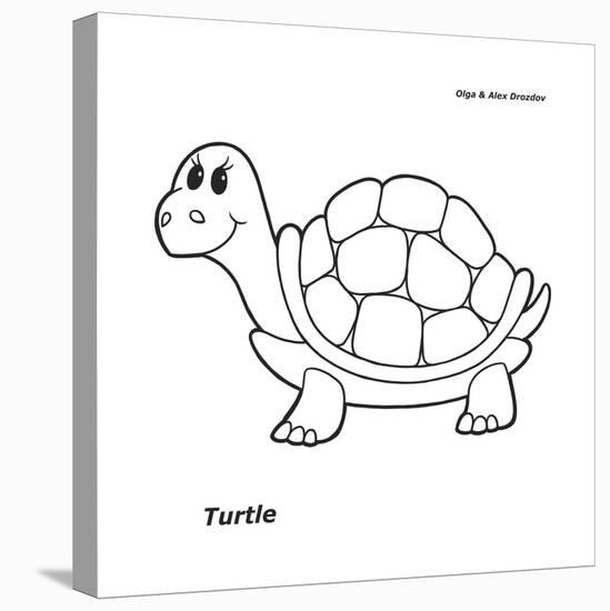 Turtle-Olga And Alexey Drozdov-Stretched Canvas
