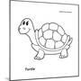 Turtle-Olga And Alexey Drozdov-Mounted Giclee Print