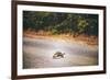 Turtle-Pixie Pics-Framed Photographic Print