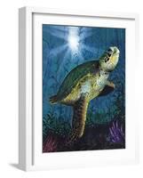 Turtle-Scott Westmoreland-Framed Art Print