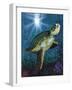 Turtle-Scott Westmoreland-Framed Art Print