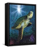 Turtle-Scott Westmoreland-Framed Stretched Canvas