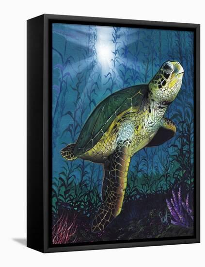 Turtle-Scott Westmoreland-Framed Stretched Canvas