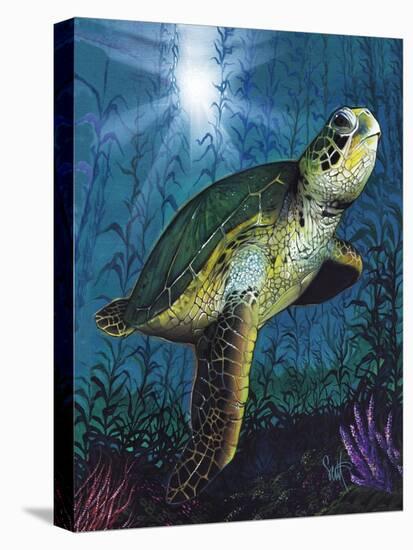 Turtle-Scott Westmoreland-Stretched Canvas