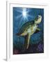 Turtle-Scott Westmoreland-Framed Art Print