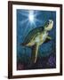 Turtle-Scott Westmoreland-Framed Art Print