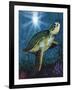 Turtle-Scott Westmoreland-Framed Art Print