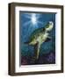 Turtle-Scott Westmoreland-Framed Art Print