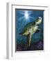 Turtle-Scott Westmoreland-Framed Art Print