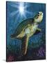 Turtle-Scott Westmoreland-Stretched Canvas