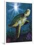 Turtle-Scott Westmoreland-Framed Art Print