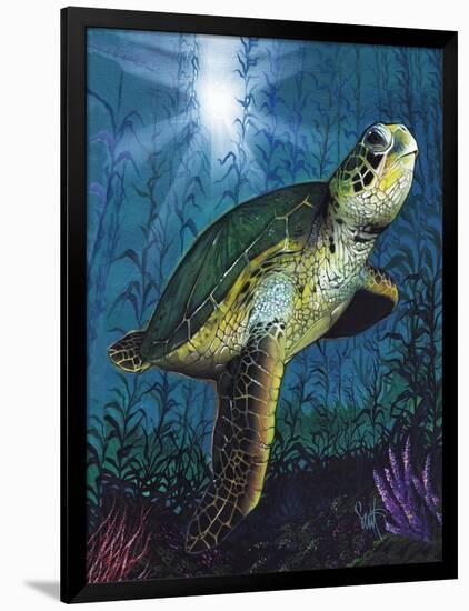 Turtle-Scott Westmoreland-Framed Art Print