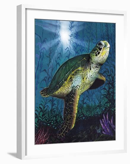 Turtle-Scott Westmoreland-Framed Art Print