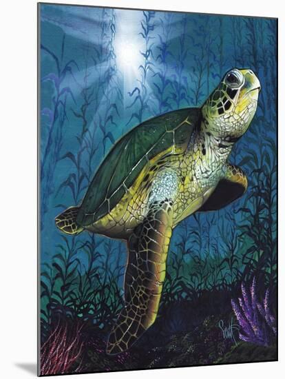 Turtle-Scott Westmoreland-Mounted Art Print