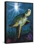 Turtle-Scott Westmoreland-Framed Stretched Canvas