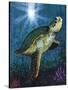 Turtle-Scott Westmoreland-Stretched Canvas