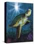 Turtle-Scott Westmoreland-Stretched Canvas