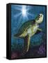 Turtle-Scott Westmoreland-Framed Stretched Canvas