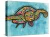 Turtle-Dean Russo-Stretched Canvas