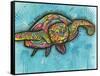 Turtle-Dean Russo-Framed Stretched Canvas