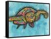 Turtle-Dean Russo-Framed Stretched Canvas