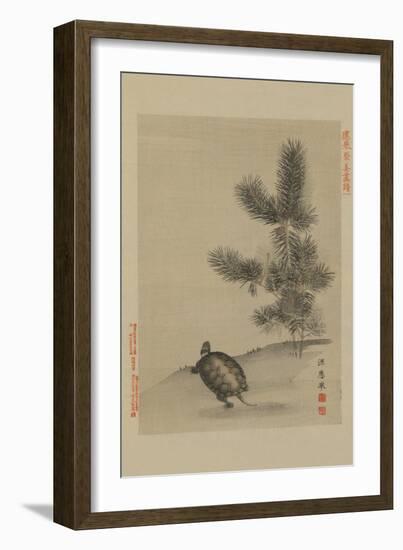 Turtle-null-Framed Art Print