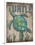 Turtle-Todd Williams-Framed Art Print