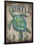 Turtle-Todd Williams-Framed Art Print