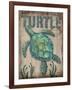 Turtle-Todd Williams-Framed Art Print