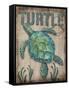 Turtle-Todd Williams-Framed Stretched Canvas