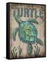 Turtle-Todd Williams-Framed Stretched Canvas